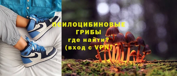 кокс Алексин