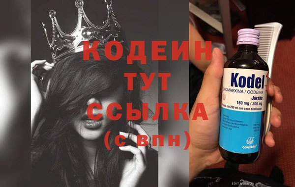 кокс Алексин